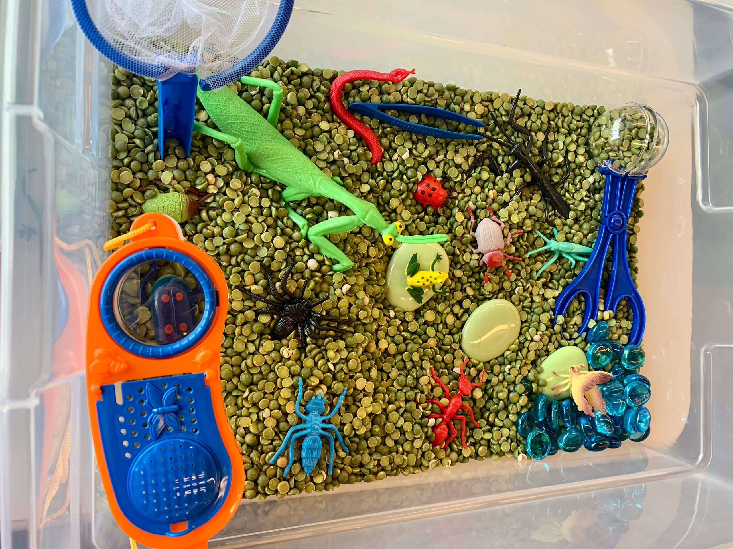 Insect Sensory Bin